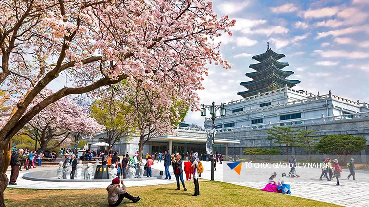 Du học Hàn Quốc: Thông báo tuyển sinh đợt cuối – khóa tháng 12/2020 với visa thẳng Top 1%